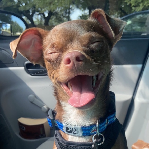 Meet your Posher, Jessica - Picture 2 of 4